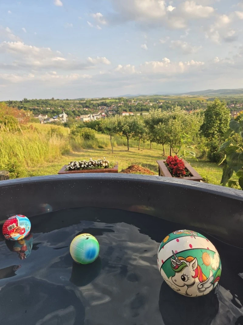 Cehu Silvaniei Cazare | Pensiune (K0627-5) Imaginea poate fi supusă drepturilor de autor. Se recomandă contactarea titularului drepturilor.