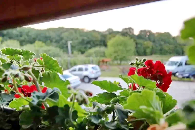 Szilágycseh Szállás | Motel (K0627-24) A kép szerzői jogvédelem alatt állhat. Javasolt a kapcsolatfelvétel a jog tulajdonossal.