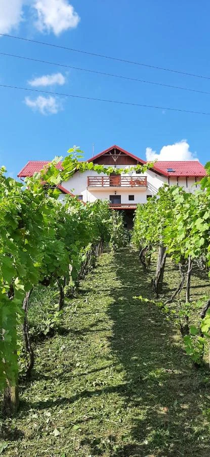 Cehu Silvaniei Cazare | Motel (K0627-25) Imaginea poate fi supusă drepturilor de autor. Se recomandă contactarea titularului drepturilor.