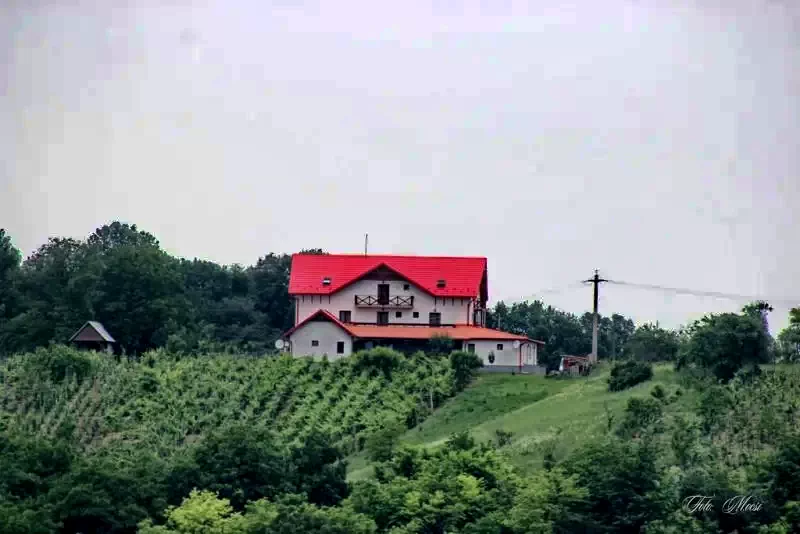 Szilágycseh Szállás | Motel (K0627-30) A kép szerzői jogvédelem alatt állhat. Javasolt a kapcsolatfelvétel a jog tulajdonossal.