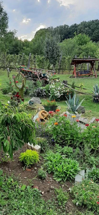 Cehu Silvaniei Cazare | Pensiune (K0627-57) Imaginea poate fi supusă drepturilor de autor. Se recomandă contactarea titularului drepturilor.