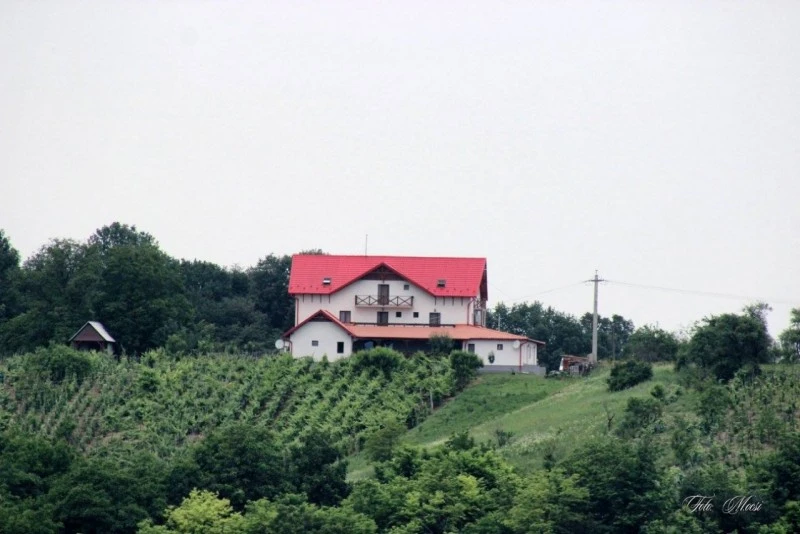 Szilágycseh Szállás | Panzió (K0627-59) A kép szerzői jogvédelem alatt állhat. Javasolt a kapcsolatfelvétel a jog tulajdonossal. Szilágycseh Szállás | Panzió (K0627-59) A kép szerzői jogvédelem alatt állhat. Javasolt a kapcsolatfelvétel a jog tulajdonossal.
