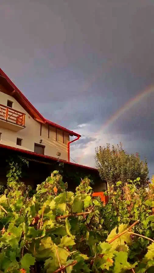 Cehu Silvaniei Cazare | Motel (K0627-61) Imaginea poate fi supusă drepturilor de autor. Se recomandă contactarea titularului drepturilor.