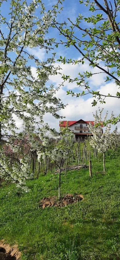 Cehu Silvaniei Cazare | Motel (K0627-70) Imaginea poate fi supusă drepturilor de autor. Se recomandă contactarea titularului drepturilor.