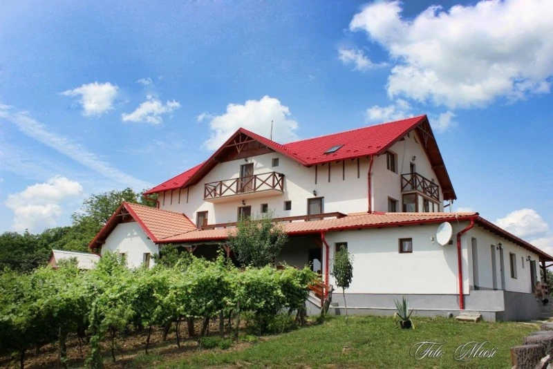 Cehu Silvaniei Cazare | Motel (K0627-75) Imaginea poate fi supusă drepturilor de autor. Se recomandă contactarea titularului drepturilor.