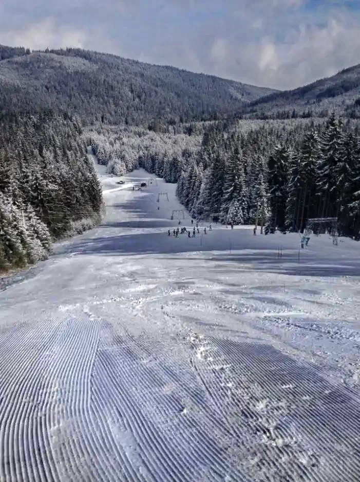 Harghita-Băi Cazare | Cabană (K0280-21) Imaginea poate fi supusă drepturilor de autor. Se recomandă contactarea titularului drepturilor. Harghita-Băi Cazare | Cabană (K0280-21) Imaginea poate fi supusă drepturilor de autor. Se recomandă contactarea titularului drepturilor.