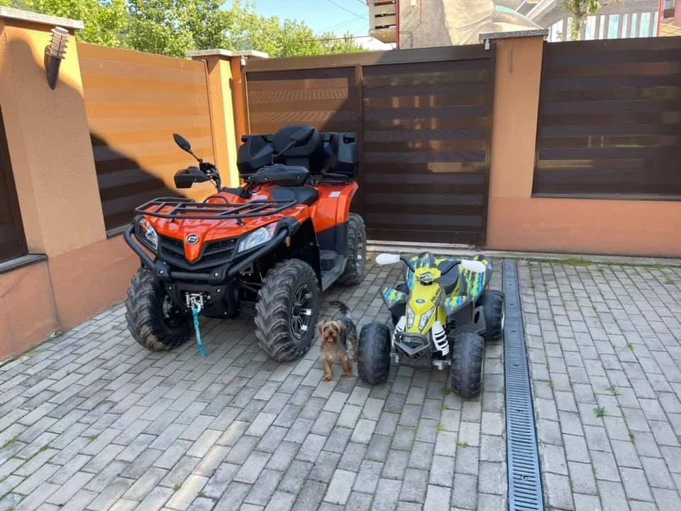 Sasca Montană Cazare | Pensiune (K1271-30) Imaginea poate fi supusă drepturilor de autor. Se recomandă contactarea titularului drepturilor. Sasca Montană Cazare | Pensiune (K1271-30) Imaginea poate fi supusă drepturilor de autor. Se recomandă contactarea titularului drepturilor.