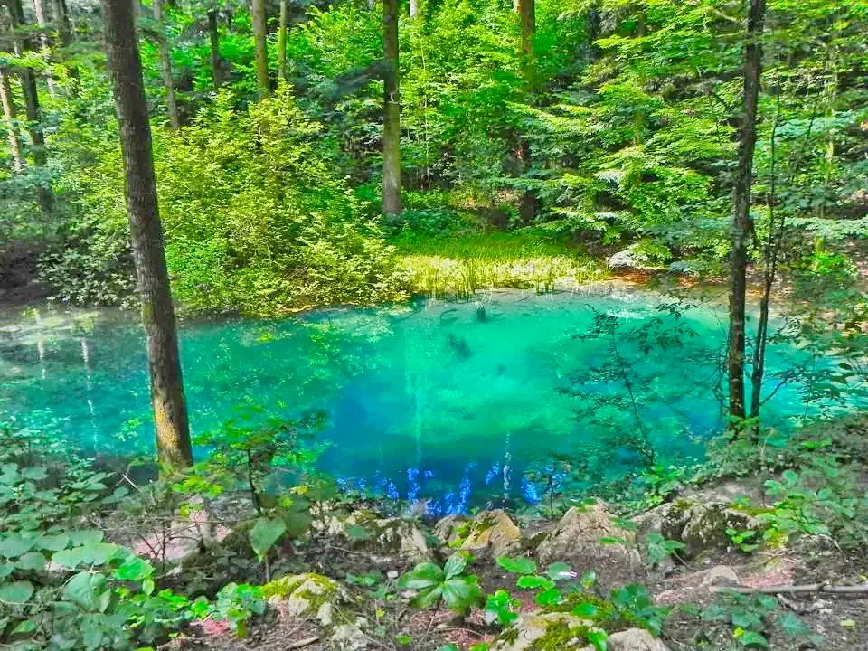 Sasca Montană Cazare | Pensiune (K1271-57) Imaginea poate fi supusă drepturilor de autor. Se recomandă contactarea titularului drepturilor. Sasca Montană Cazare | Pensiune (K1271-57) Imaginea poate fi supusă drepturilor de autor. Se recomandă contactarea titularului drepturilor.