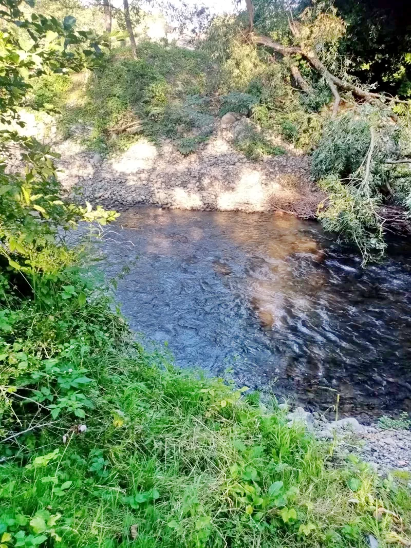 Sovata Cazare | Casă de oaspeți (K0028-31) Imaginea poate fi supusă drepturilor de autor. Se recomandă contactarea titularului drepturilor. Sovata Cazare | Casă de oaspeți (K0028-31) Imaginea poate fi supusă drepturilor de autor. Se recomandă contactarea titularului drepturilor.