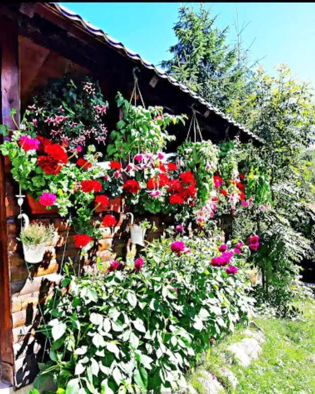 Arieșeni Cazare | Cabană (K0341-16) Imaginea poate fi supusă drepturilor de autor. Se recomandă contactarea titularului drepturilor. Arieșeni Cazare | Cabană (K0341-16) Imaginea poate fi supusă drepturilor de autor. Se recomandă contactarea titularului drepturilor.