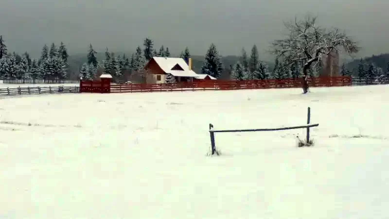 Székelyvarság Szállás | Kulcsosház (K0814-30) A kép szerzői jogvédelem alatt állhat. Javasolt a kapcsolatfelvétel a jog tulajdonossal. Székelyvarság Szállás | Kulcsosház (K0814-30) A kép szerzői jogvédelem alatt állhat. Javasolt a kapcsolatfelvétel a jog tulajdonossal.