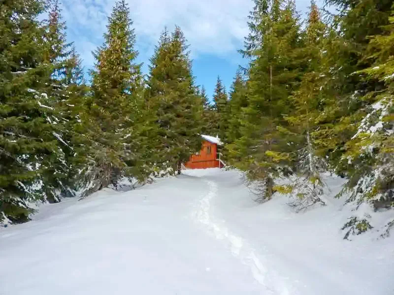 Szállás Harghita Mădăraș - Căsuțe Major Lóránt I-III.|Madarasi Hargita - Major Lóránt I-III. kisházak. A kép szerzői jogvédelem alatt állhat. Javasolt a kapcsolatfelvétel a jog tulajdonossal.