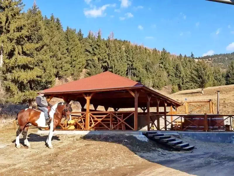 Gyergyószentmiklós Szállás | Panzió (K0189-8) A kép szerzői jogvédelem alatt állhat. Javasolt a kapcsolatfelvétel a jog tulajdonossal.