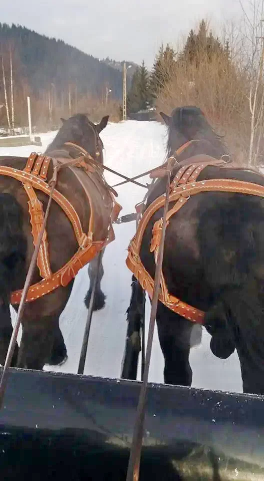 Gheorgheni Cazare | Pensiune (K0189-20) Imaginea poate fi supusă drepturilor de autor. Se recomandă contactarea titularului drepturilor. Gheorgheni Cazare | Pensiune (K0189-20) Imaginea poate fi supusă drepturilor de autor. Se recomandă contactarea titularului drepturilor.