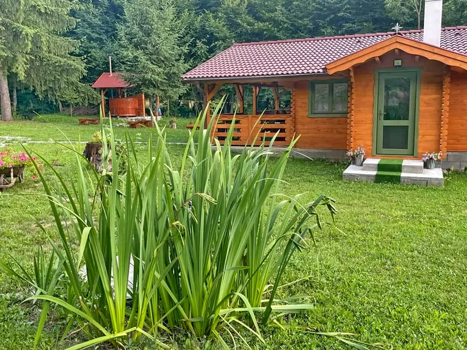 Izvoare Cazare | Sat de vacanță (K0596-34) Imaginea poate fi supusă drepturilor de autor. Se recomandă contactarea titularului drepturilor.