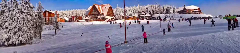 Madarasi Hargita Szállás | Motel (K0740-21) A kép szerzői jogvédelem alatt állhat. Javasolt a kapcsolatfelvétel a jog tulajdonossal.