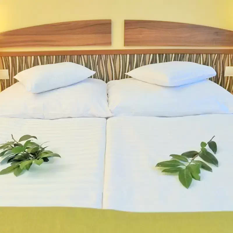 Jula Cazare | Hotel*** (K0002-17) Imaginea poate fi supusă drepturilor de autor. Se recomandă contactarea titularului drepturilor.