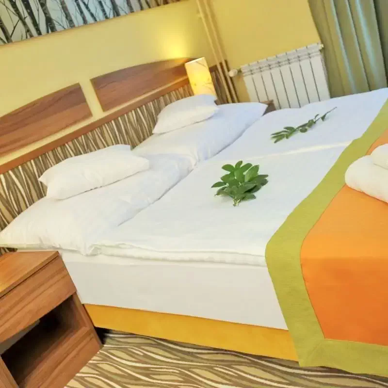 Jula Cazare | Hotel*** (K0002-19) Imaginea poate fi supusă drepturilor de autor. Se recomandă contactarea titularului drepturilor.