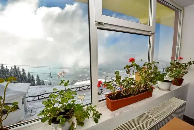 Statiunea Parâng-Petroșani Cazare | Camping / Popas turistic (K0683-31) Imaginea poate fi supusă drepturilor de autor. Se recomandă contactarea titularului drepturilor.