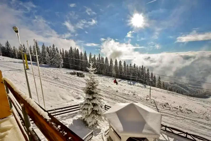 Statiunea Parâng-Petroșani Cazare | Camping / Popas turistic (K0683-62) Imaginea poate fi supusă drepturilor de autor. Se recomandă contactarea titularului drepturilor.