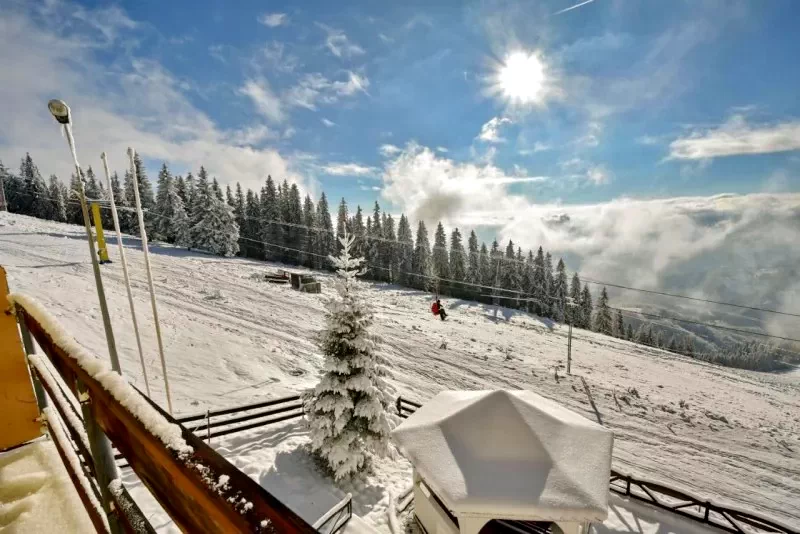 Statiunea Parâng-Petroșani Cazare | Camping / Popas turistic (K0683-67) Imaginea poate fi supusă drepturilor de autor. Se recomandă contactarea titularului drepturilor.