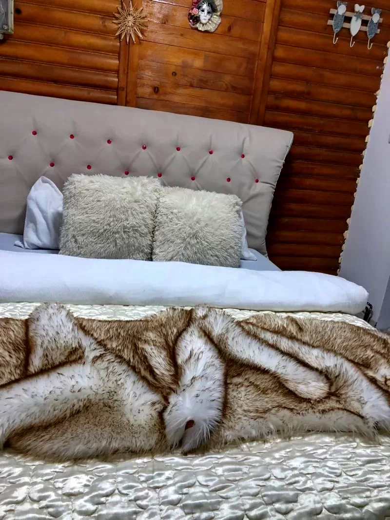 Páring-hegység, Petrozsény Szállás | Hotel**** (K1423-12) A kép szerzői jogvédelem alatt állhat. Javasolt a kapcsolatfelvétel a jog tulajdonossal.