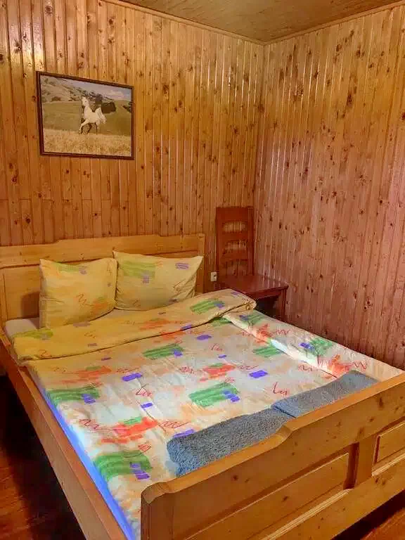 Izvoare Cazare | Sat de vacanță (K1284-23) Imaginea poate fi supusă drepturilor de autor. Se recomandă contactarea titularului drepturilor.