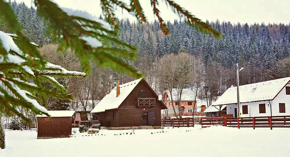 Ivó Szállás | Üdülőfalu (K1284-29) A kép szerzői jogvédelem alatt állhat. Javasolt a kapcsolatfelvétel a jog tulajdonossal.