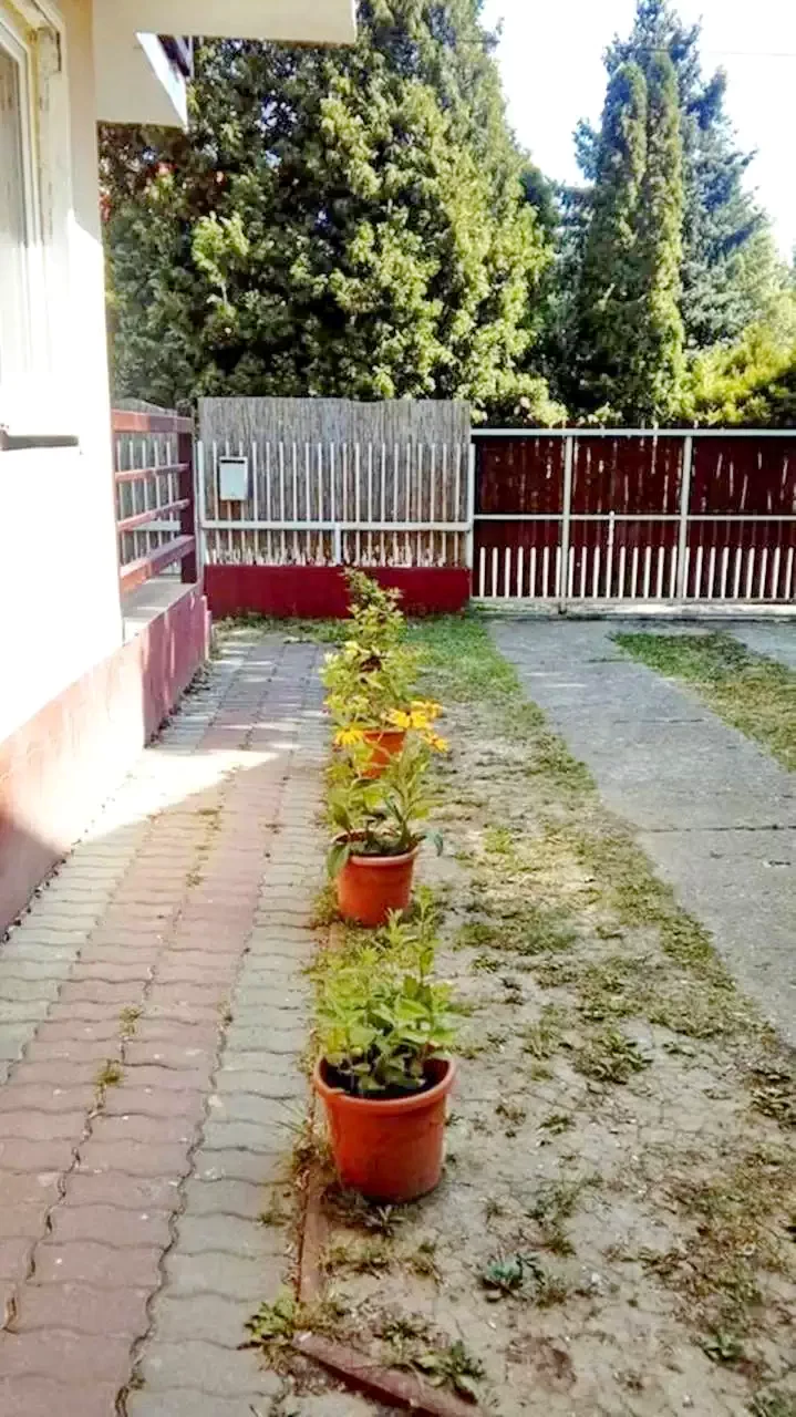 Hajdúszoboszló Szállás | Kulcsosház (K0290-56) A kép szerzői jogvédelem alatt állhat. Javasolt a kapcsolatfelvétel a jog tulajdonossal. Hajdúszoboszló Szállás | Kulcsosház (K0290-56) A kép szerzői jogvédelem alatt állhat. Javasolt a kapcsolatfelvétel a jog tulajdonossal.