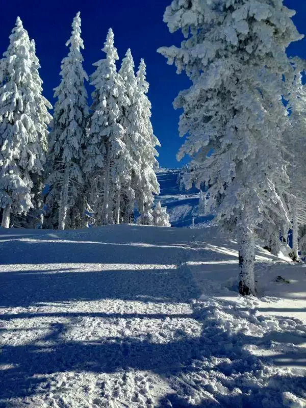 Arieșeni Cazare | Hotel*** (K1147-42) Imaginea poate fi supusă drepturilor de autor. Se recomandă contactarea titularului drepturilor.