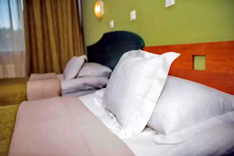 Sfântu Gheorghe Cazare | Pensiune turistică (K0066-56) Imaginea poate fi supusă drepturilor de autor. Se recomandă contactarea titularului drepturilor.