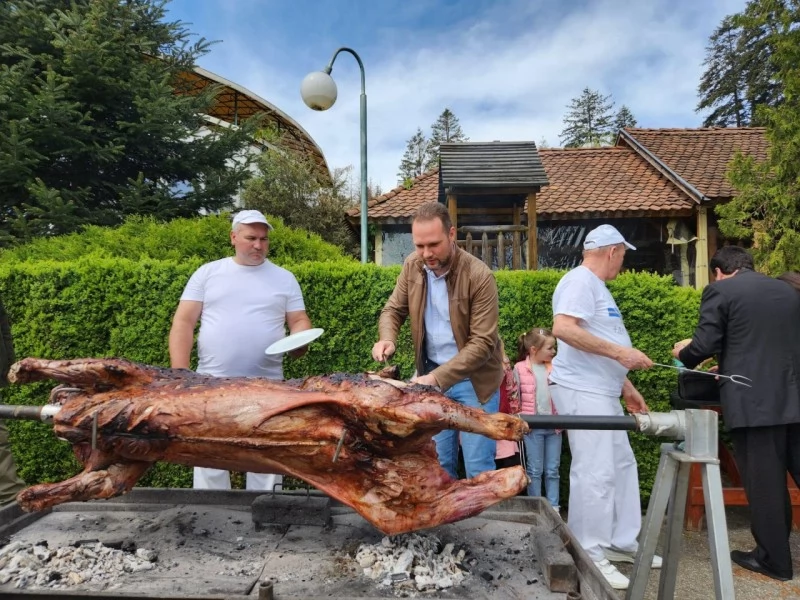 Sfântu Gheorghe Cazare | Pensiune turistică (K0066-75) Imaginea poate fi supusă drepturilor de autor. Se recomandă contactarea titularului drepturilor.