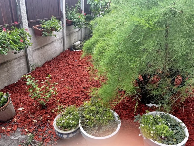  Cazare | Pensiune (K0021-23) Imaginea poate fi supusă drepturilor de autor. Se recomandă contactarea titularului drepturilor.