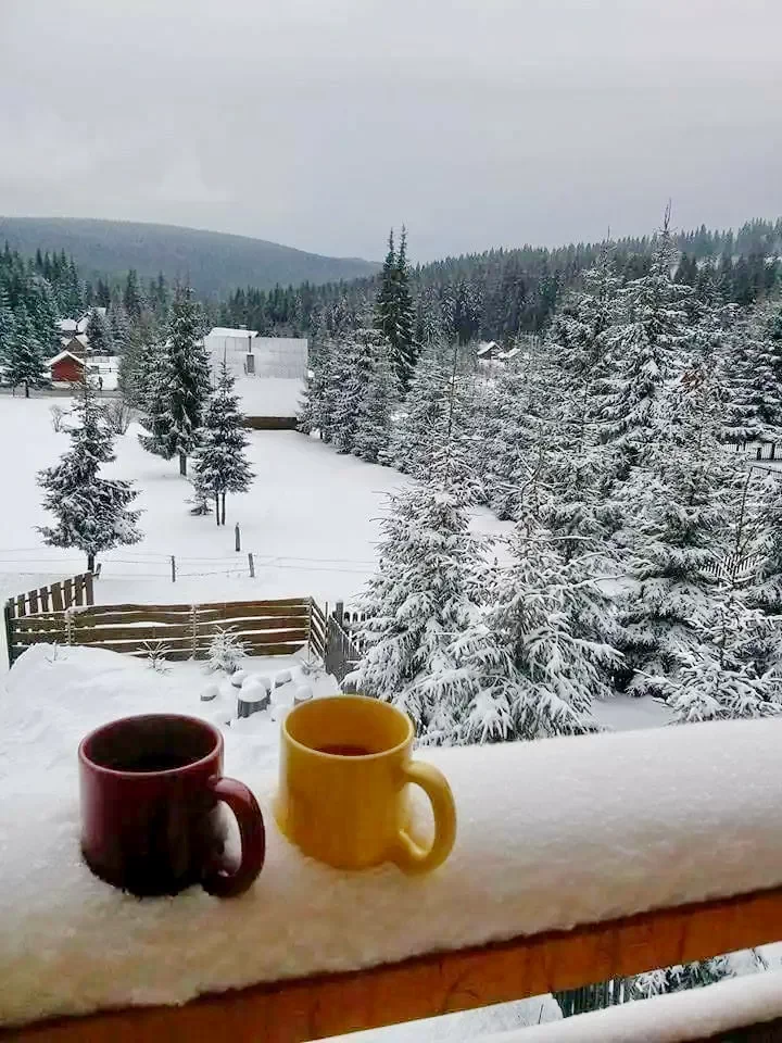 Bucsin-tető Szállás | Panzió (K0137-10) A kép szerzői jogvédelem alatt állhat. Javasolt a kapcsolatfelvétel a jog tulajdonossal.