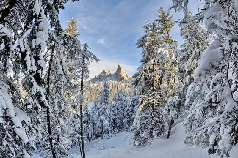 Câmpulung Moldovenesc Cazare | Motel (K0658-20) Imaginea poate fi supusă drepturilor de autor. Se recomandă contactarea titularului drepturilor.