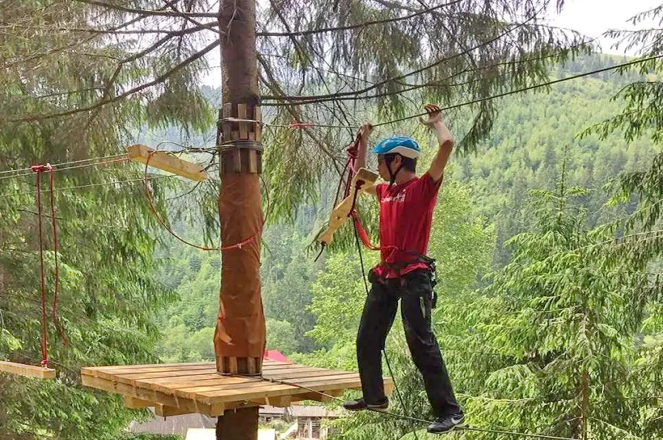 Cazare Albac - Pensiune Poiana Verde**** | Fehérvölgy - Poiana Verde Panzió****. Imaginea poate fi supusă drepturilor de autor. Se recomandă contactarea titularului drepturilor.