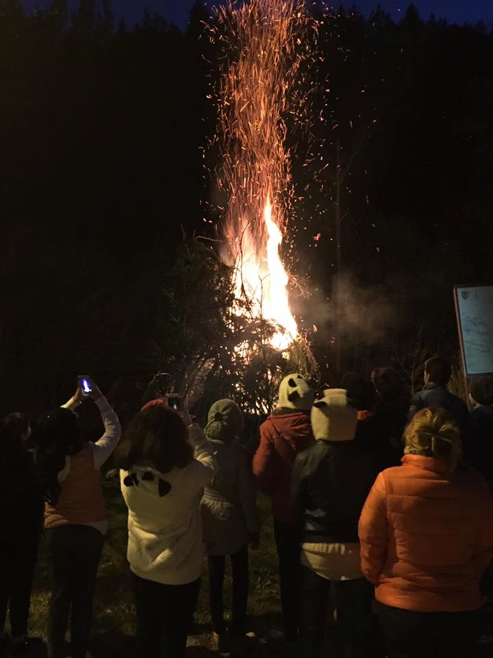 Albac Cazare | Pensiune (K0030-42) Imaginea poate fi supusă drepturilor de autor. Se recomandă contactarea titularului drepturilor.