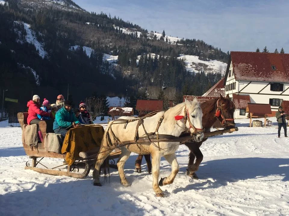 Albac Cazare | Motel (K0030-46) Imaginea poate fi supusă drepturilor de autor. Se recomandă contactarea titularului drepturilor.