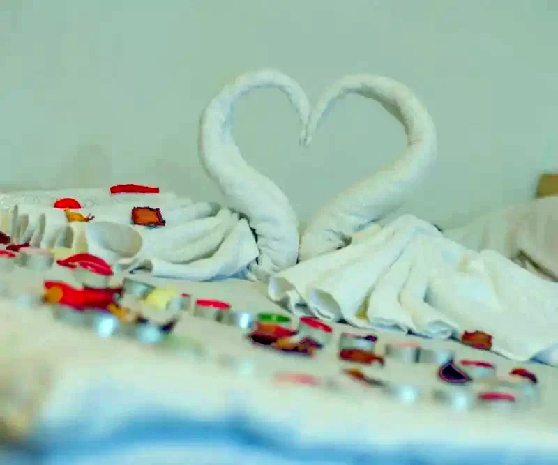 Cazare Bran - Vila Constantin** | Törcsvár - Constantin Villa**. Imaginea poate fi supusă drepturilor de autor. Se recomandă contactarea titularului drepturilor.