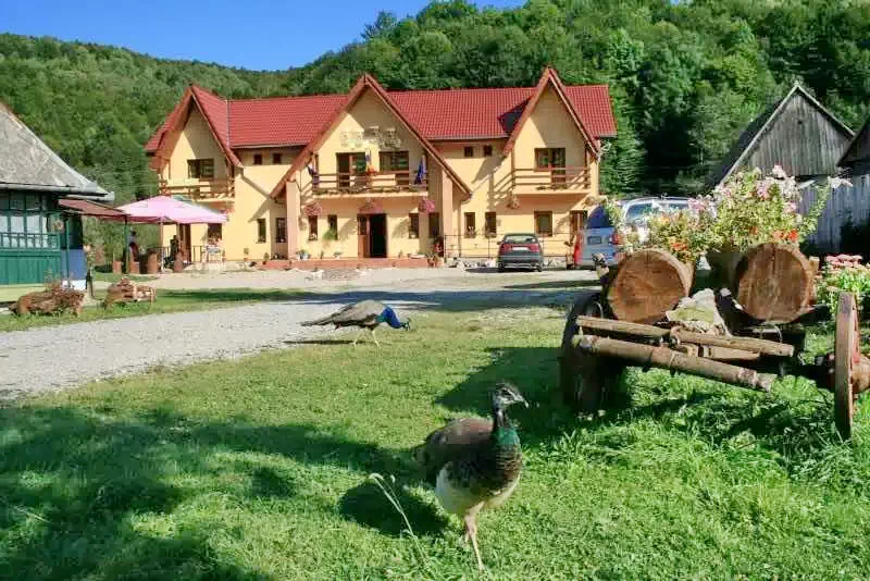 Havasrekettye Szállás | Motel (K0507-25) A kép szerzői jogvédelem alatt állhat. Javasolt a kapcsolatfelvétel a jog tulajdonossal.