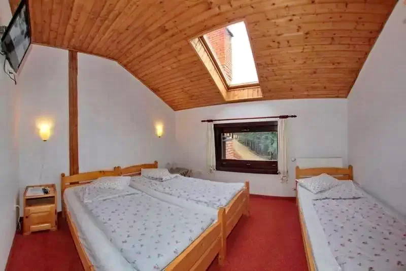 Harghita-Băi Cazare | Motel (K1206-34) Imaginea poate fi supusă drepturilor de autor. Se recomandă contactarea titularului drepturilor.