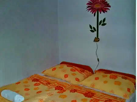  Cazare | Bungalow (K0926-9) Imaginea poate fi supusă drepturilor de autor. Se recomandă contactarea titularului drepturilor.