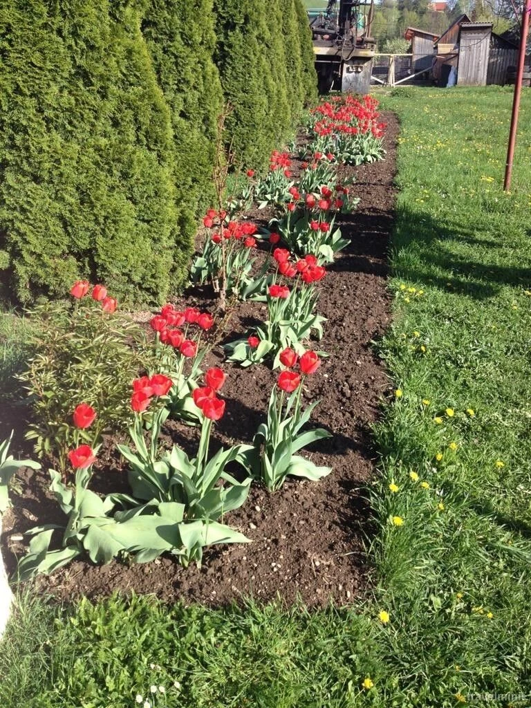 Făget Cazare | Hotel**** (K0579-21) Imaginea poate fi supusă drepturilor de autor. Se recomandă contactarea titularului drepturilor.