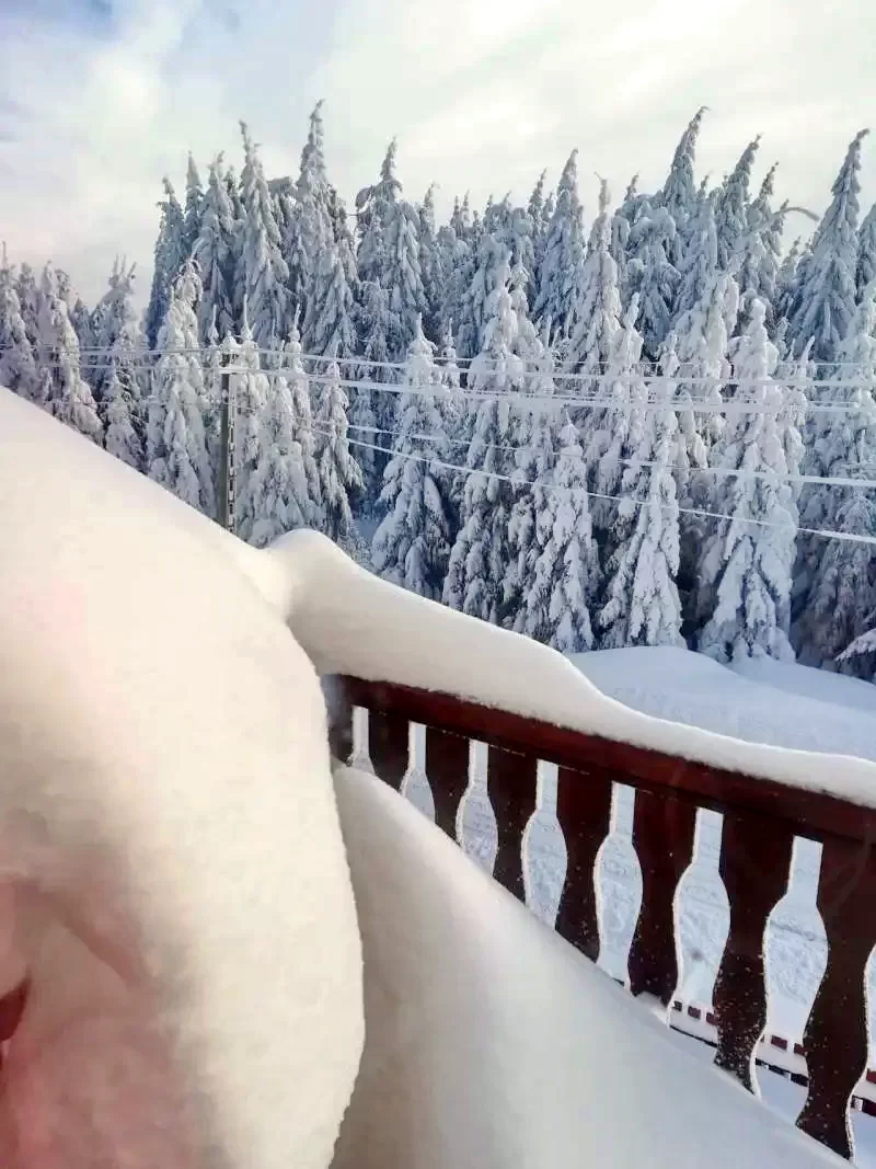 Harghita-Băi Cazare | Sat de vacanță (K1215-19) Imaginea poate fi supusă drepturilor de autor. Se recomandă contactarea titularului drepturilor.