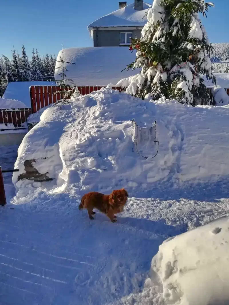 Harghita-Băi Cazare | Sat de vacanță (K1215-35) Imaginea poate fi supusă drepturilor de autor. Se recomandă contactarea titularului drepturilor.