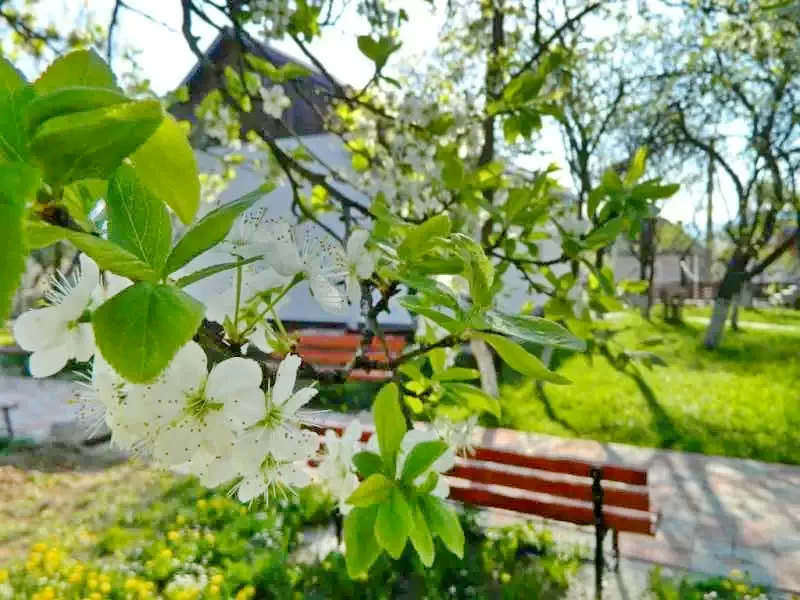 Aknasúgatag Szállás | Motel (K1008-14) A kép szerzői jogvédelem alatt állhat. Javasolt a kapcsolatfelvétel a jog tulajdonossal.