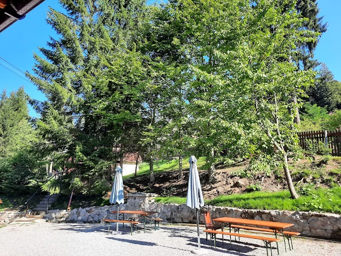 Szállás Băile Balvanyos - Pensiunea Istvana*** | Bálványosfürdő - Istvána Panzió***. A kép szerzői jogvédelem alatt állhat. Javasolt a kapcsolatfelvétel a jog tulajdonossal.