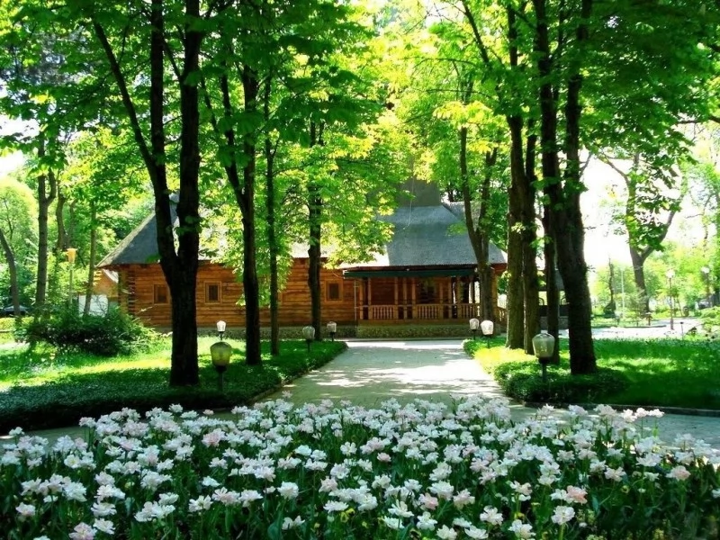 Lacu Sărat Cazare | Pensiune turistică (K1439-51) Imaginea poate fi supusă drepturilor de autor. Se recomandă contactarea titularului drepturilor.