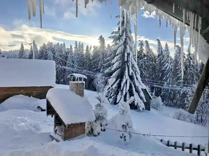 Hargitafürdő Szállás | Motel (K1217-16) A kép szerzői jogvédelem alatt állhat. Javasolt a kapcsolatfelvétel a jog tulajdonossal.