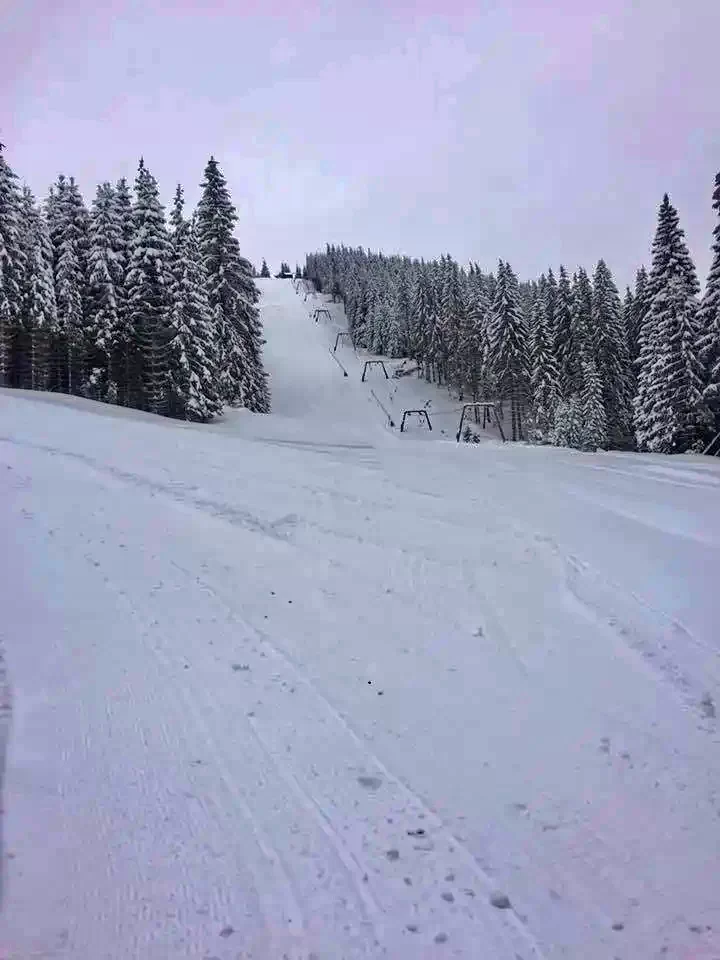 Hargitafürdő Szállás | Motel (K1217-34) A kép szerzői jogvédelem alatt állhat. Javasolt a kapcsolatfelvétel a jog tulajdonossal.